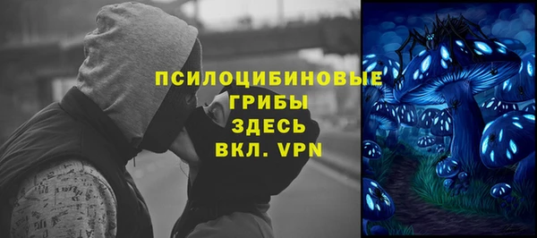 apvp Абаза