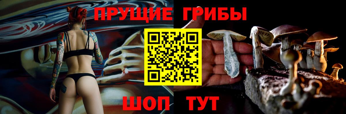 Псилоцибиновые грибы GOLDEN TEACHER  Псилоцибиновые грибы GOLDEN TEACHER  Вход с VPN  Рославль 